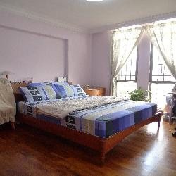 Parc Vista (D22), Condominium #49256992